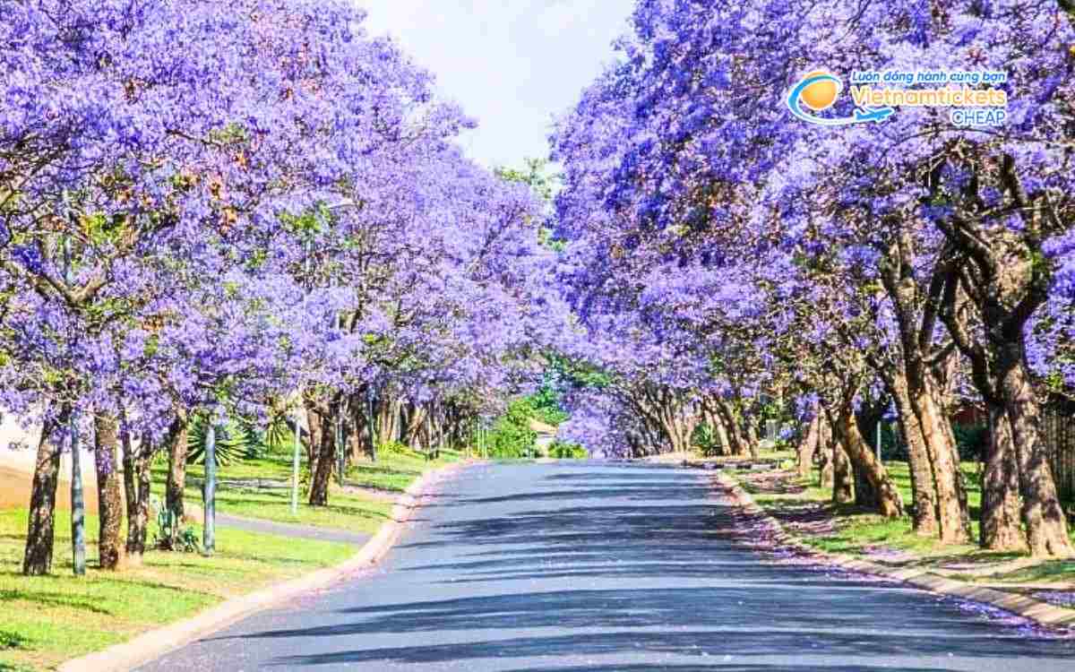 Đặc trưng thời tiết mùa xuân tại Úc