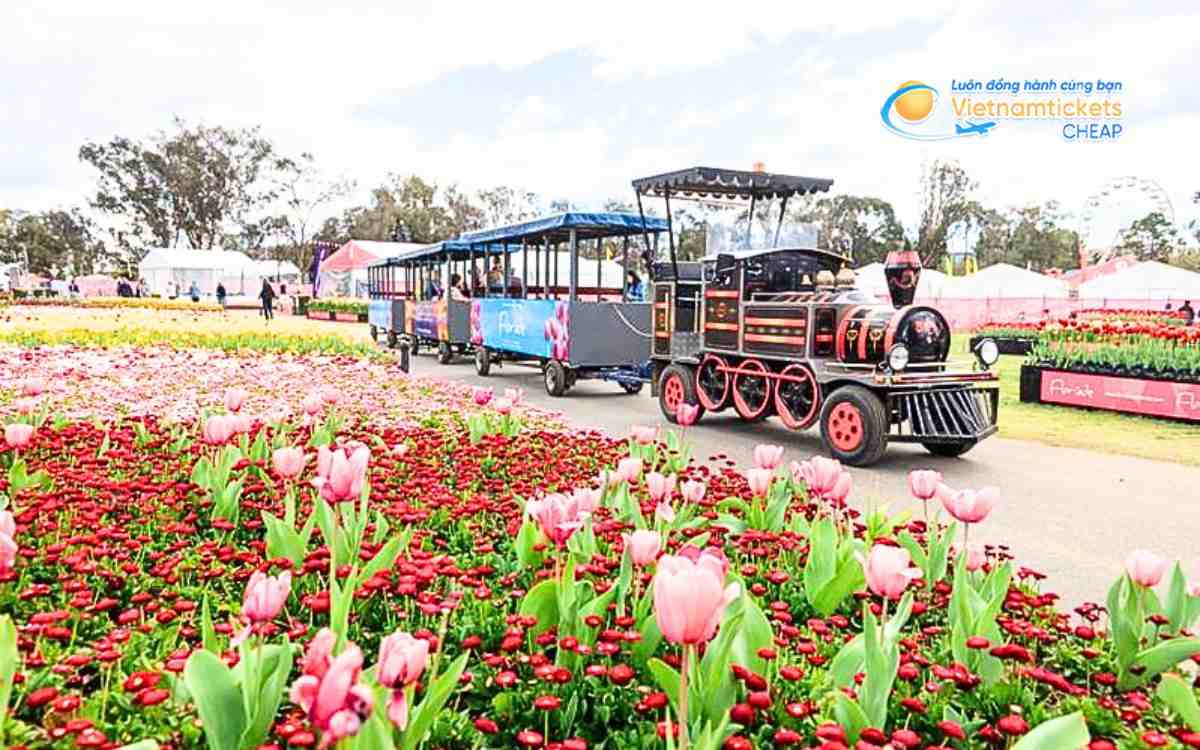 Du lịch Úc mùa xuân theo bang