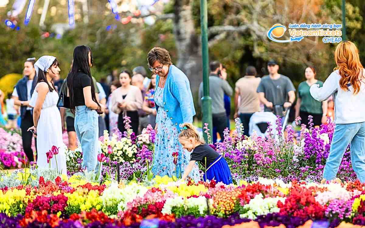 Hoạt động và trải nghiệm mùa xuân