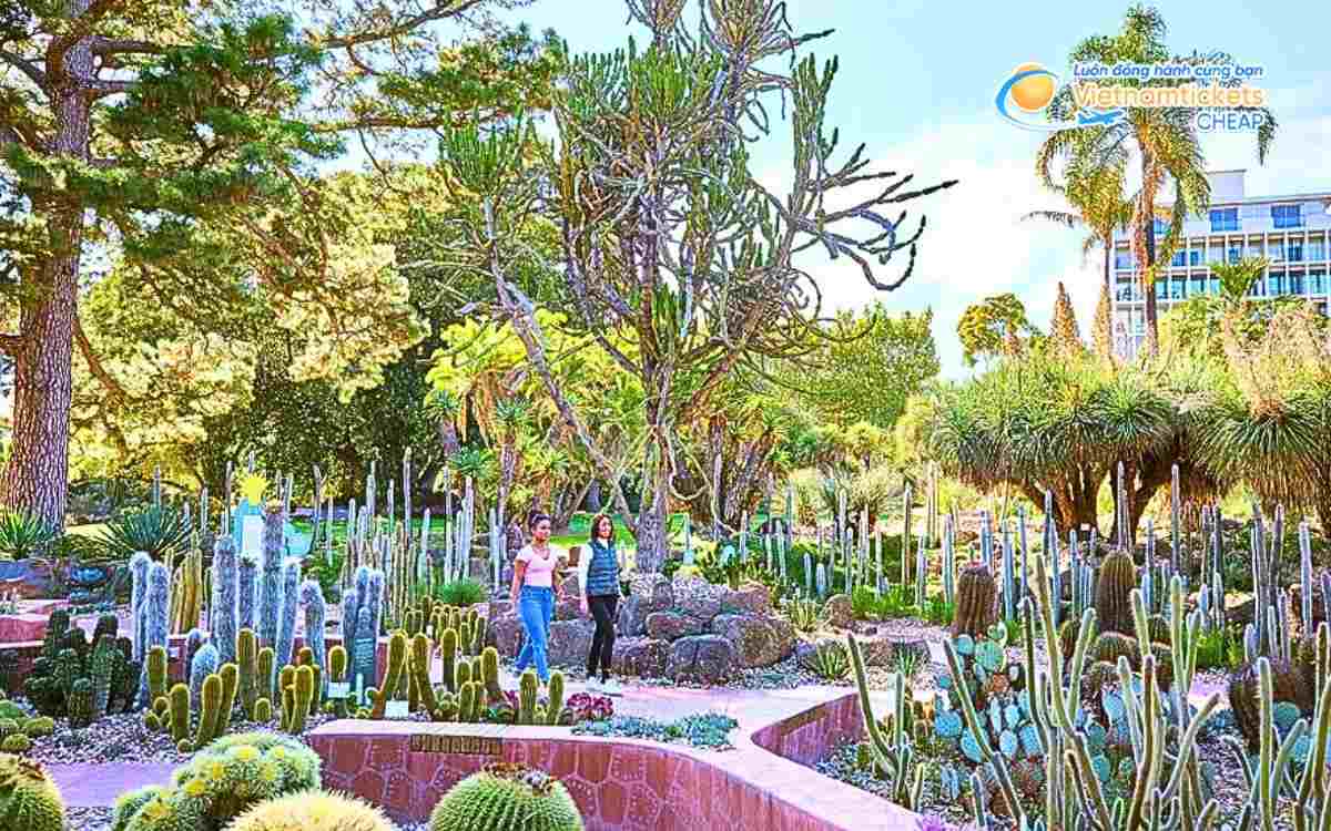 Hoạt động tại Royal Botanic Gardens  