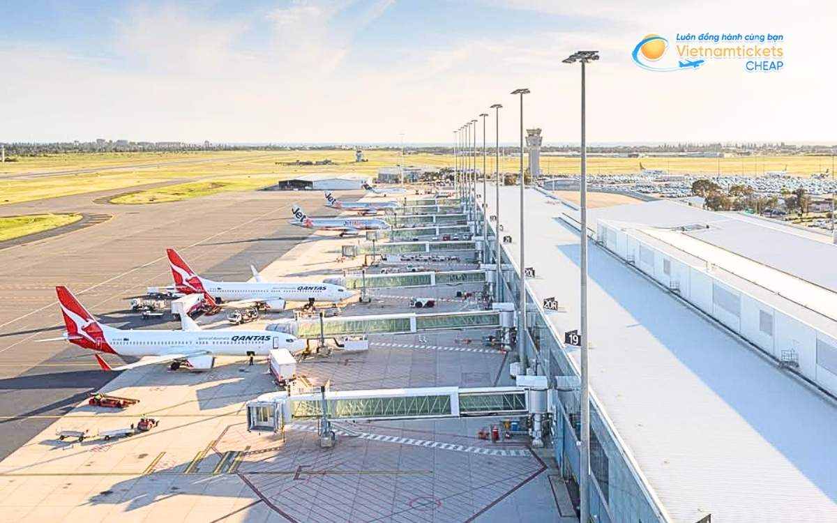 Hãng hàng không bay đến sân bay Adelaide