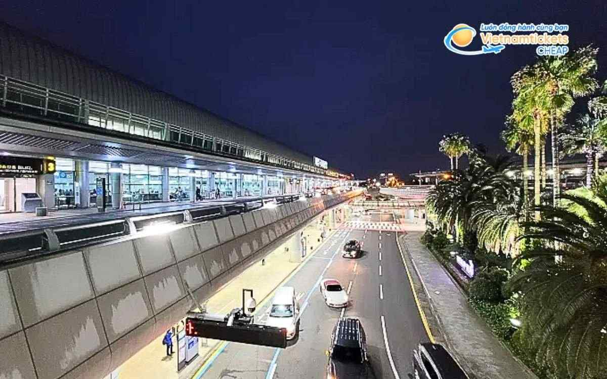 Hướng dẫn di chuyển từ sân bay Jeju về trung tâm