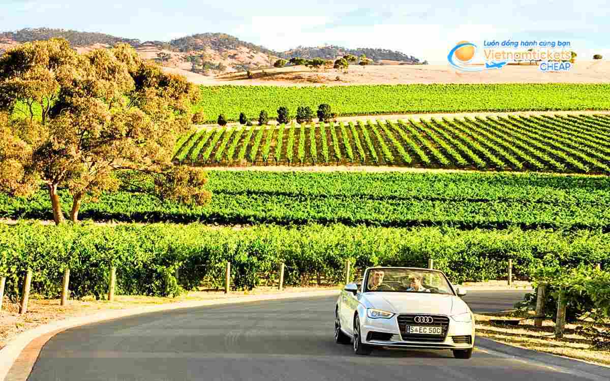 Cách di chuyển đến thung lũng Barossa