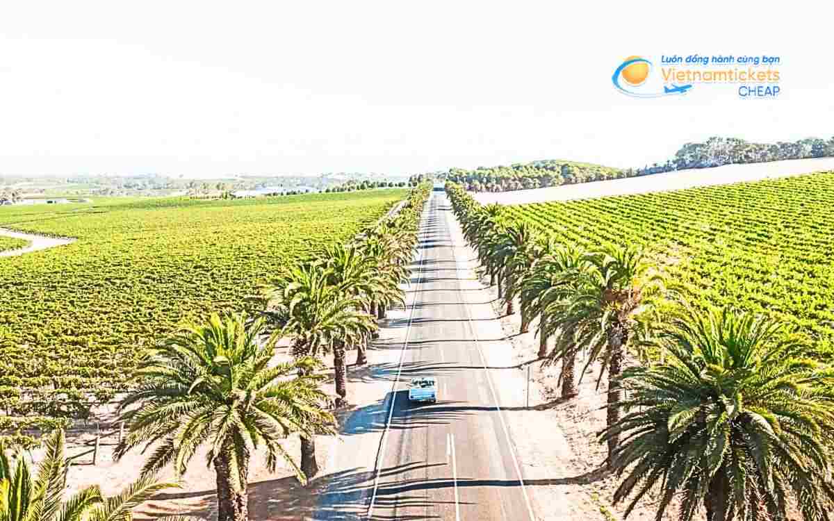 Gợi ý hành trình du lịch Barossa