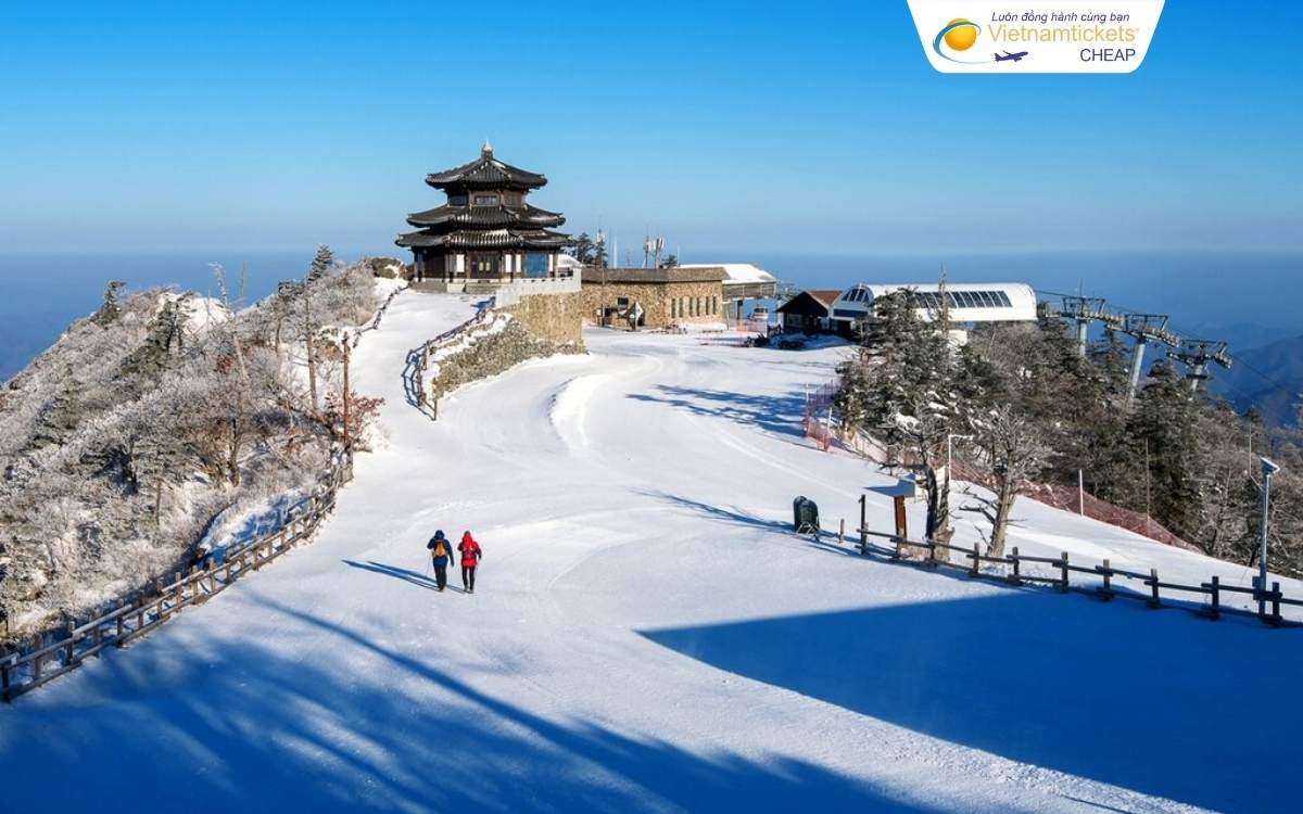 Thời điểm đặt vé đi Hàn Quốc giá rẻ