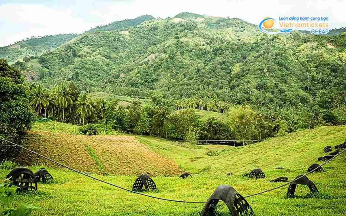 Vé máy bay đi Davao de Oro bao nhiêu tiền?