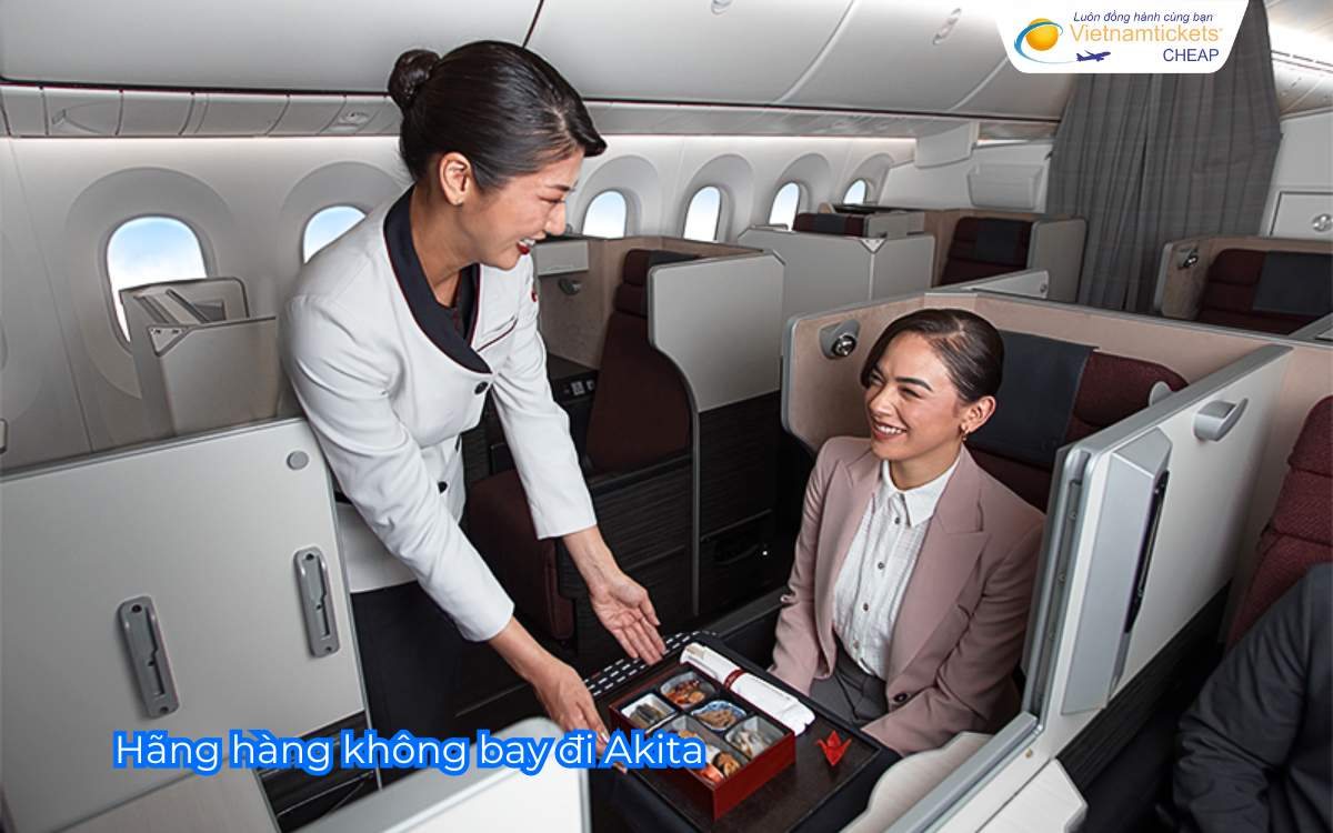 Hãng hàng không bay đi Akita 