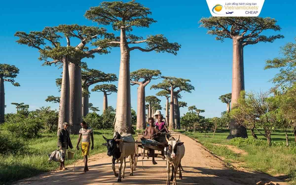 Giá vé máy bay đi Angola