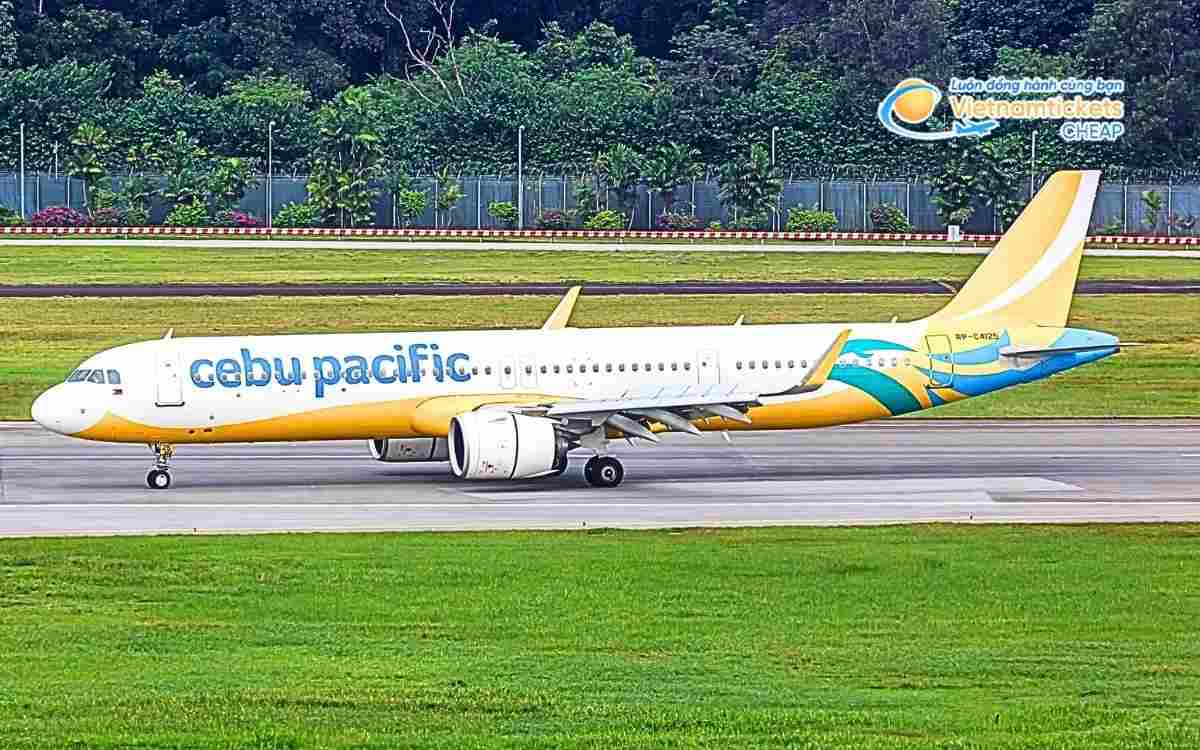 Hãng hàng không bay đi Antique