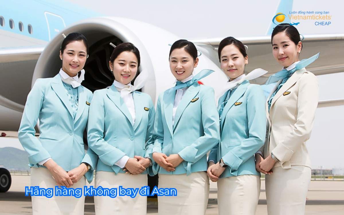 Hãng hàng không bay đi Asan
