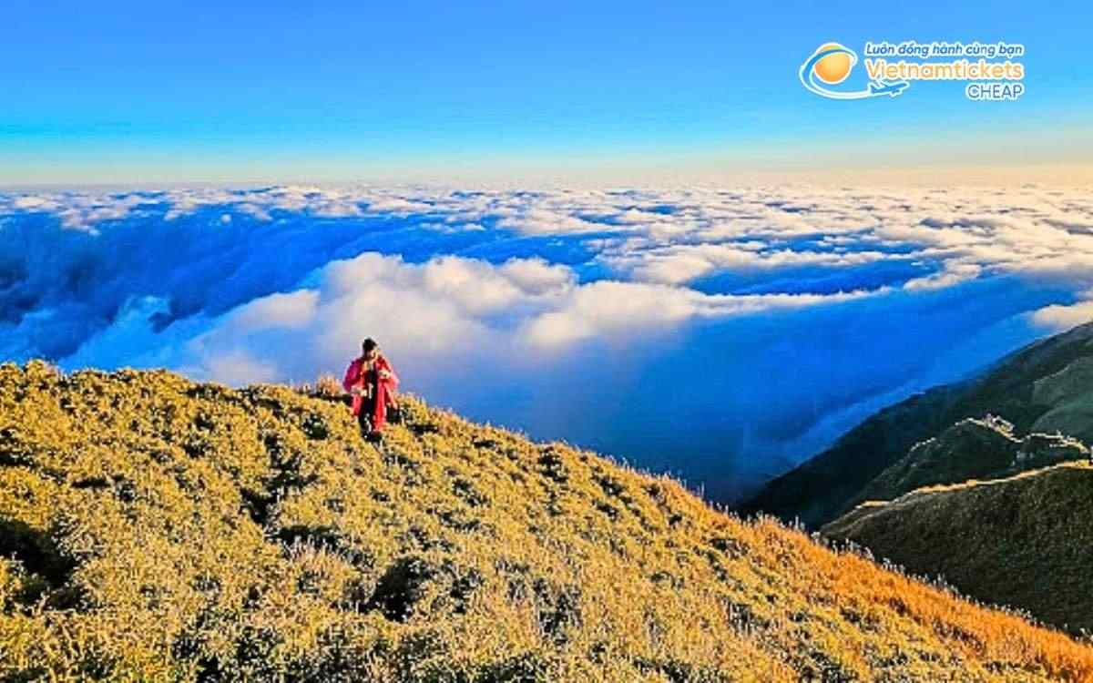 Vé máy bay đi Benguet bao nhiêu tiền?