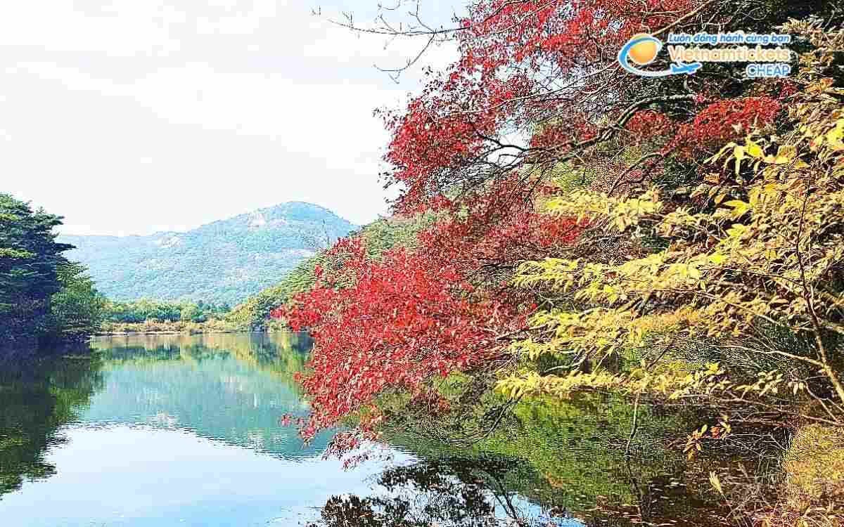 Vé máy bay đi Boeun bao nhiêu tiền?