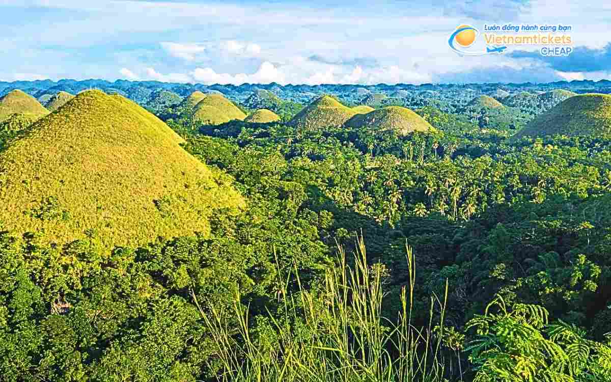 Vé máy bay đi Bohol bao nhiêu tiền?
