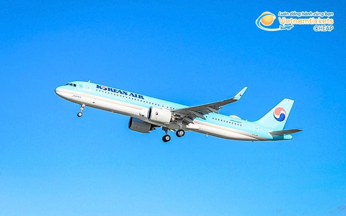 Hãng hàng không bay đi Buyeo