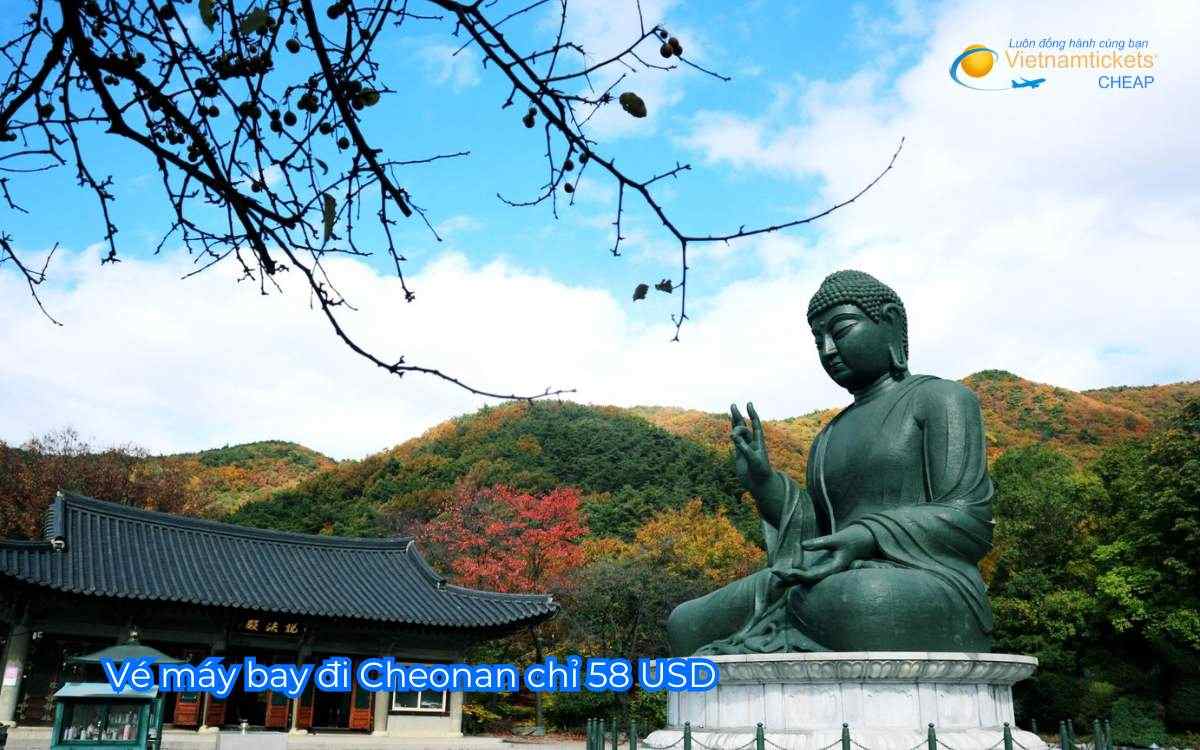 Vé máy bay đi Cheonan chỉ 58 USD