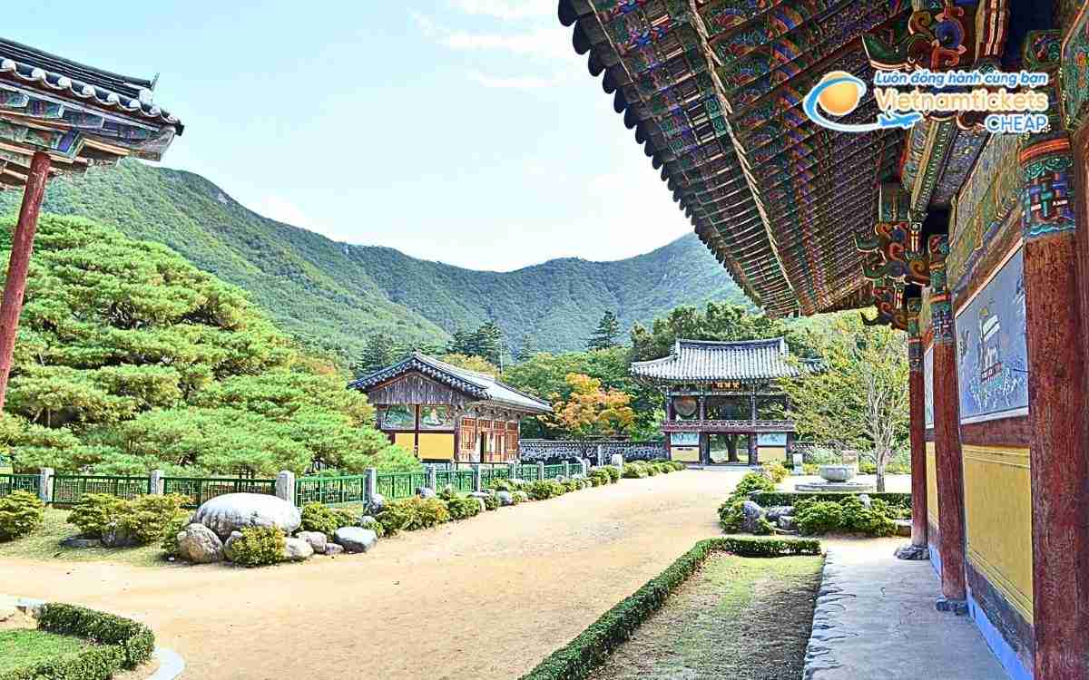 Vé máy bay đi Cheongdo bao nhiêu tiền?