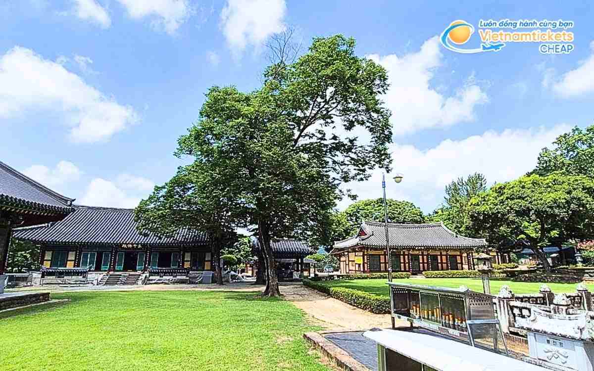 V&eacute; m&aacute;y bay đi Chilgok bao nhi&ecirc;u tiền?