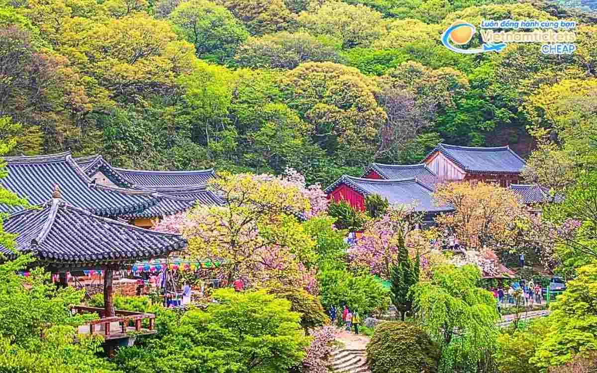 V&eacute; m&aacute;y bay đi Chungcheongnam bao nhi&ecirc;u tiền?