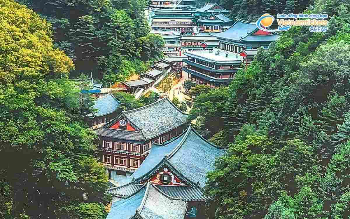 Vé máy bay đi Danyang bao nhiêu tiền?