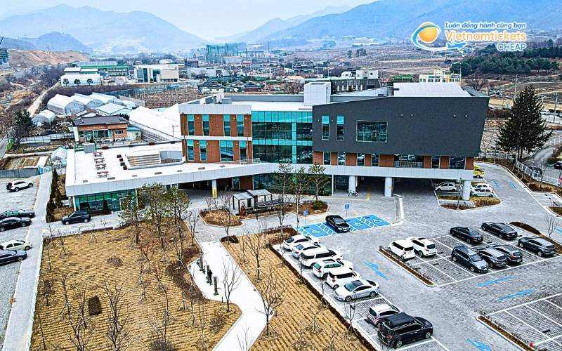 V&eacute; m&aacute;y bay đi Eumseong bao nhi&ecirc;u tiền?