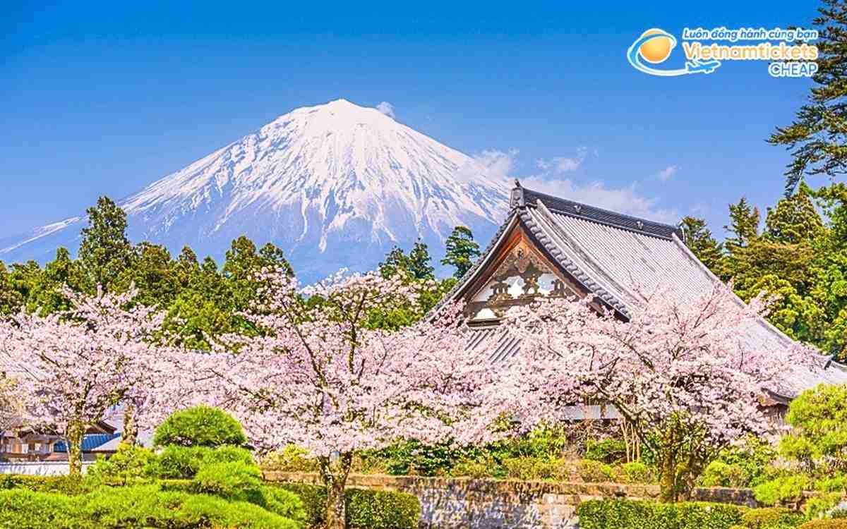 Vé máy bay đi Fujinomiya bao nhiêu tiền?
