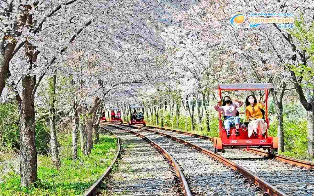 Vé máy bay đi Gapyeong bao nhiêu tiền?