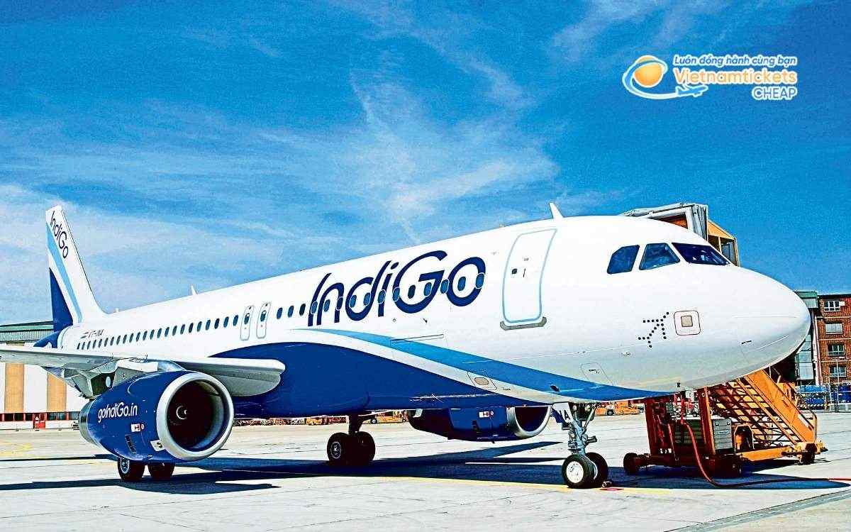 Hãng hàng không bay đi Goa