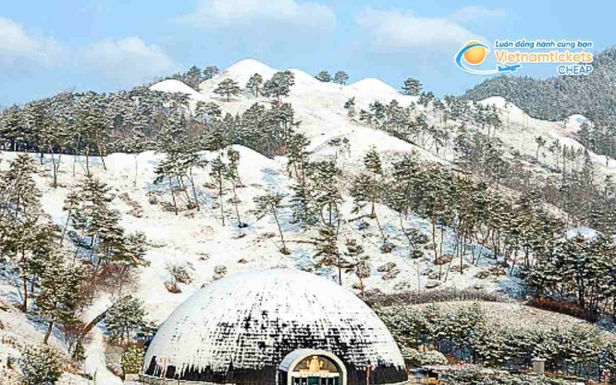 V&eacute; m&aacute;y bay đi Goryeong bao nhi&ecirc;u tiền?