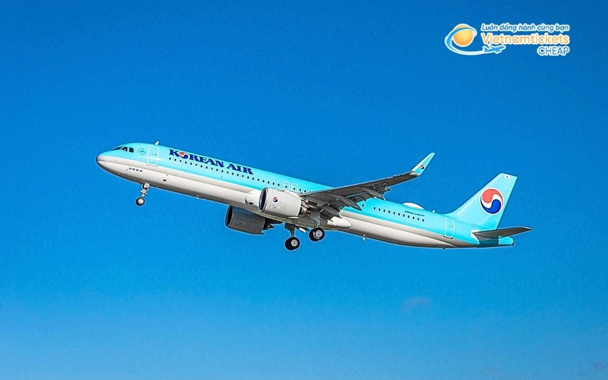 Hãng hàng không bay đi Goseong