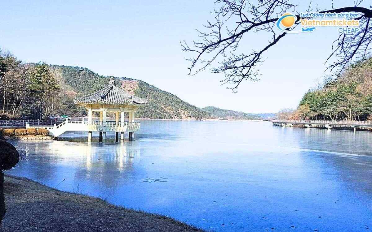 V&eacute; m&aacute;y bay đi Gumi bao nhi&ecirc;u tiền?