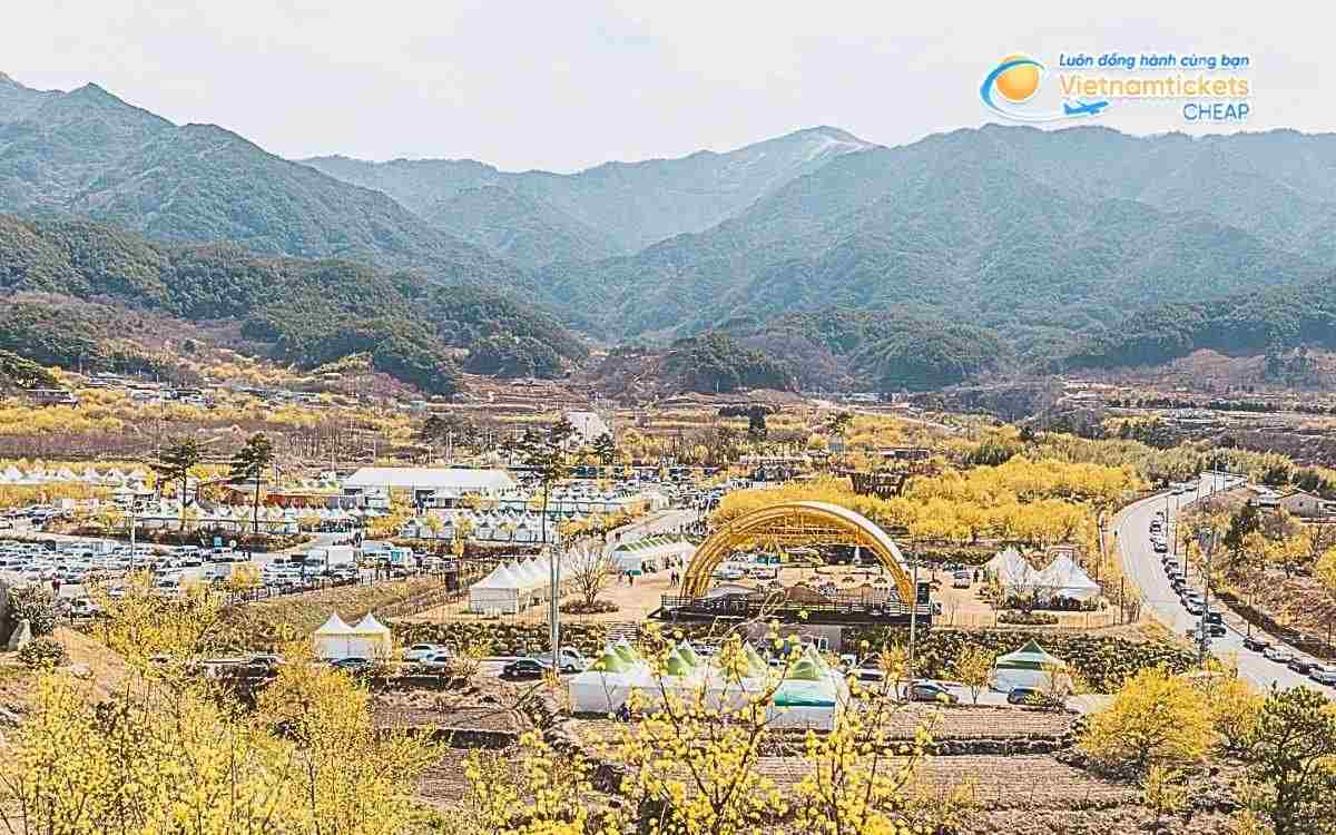 Vé máy bay đi Gurye bao nhiêu tiền?