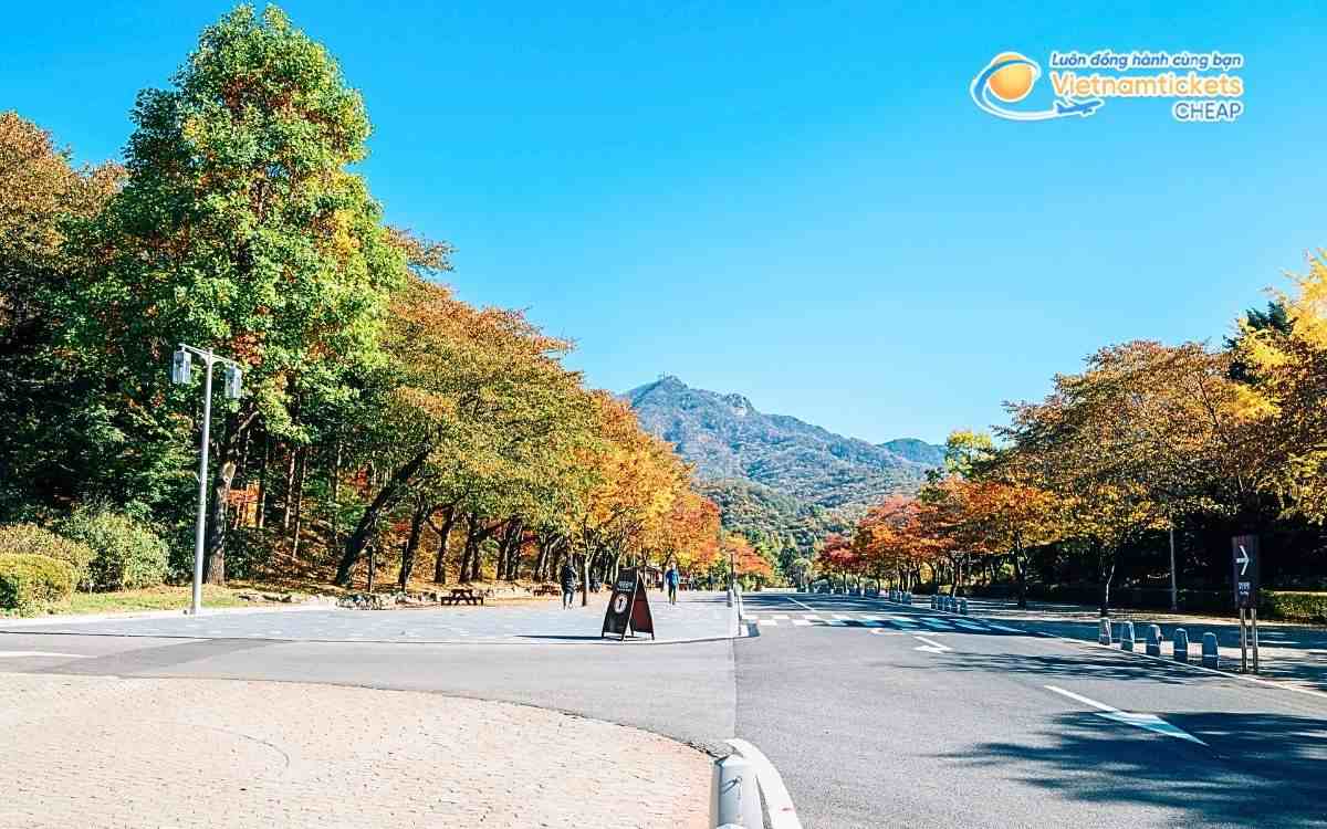 Vé máy bay đi Gwacheon bao nhiêu tiền?