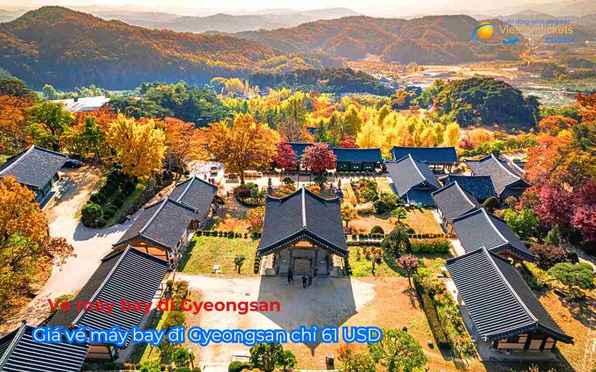 Gi&aacute; v&eacute; m&aacute;y bay đi Gyeongsan chỉ 61 USD
