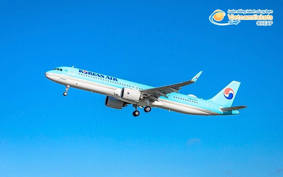 Hành trình, thời gian bay đến Gyeongsangbuk