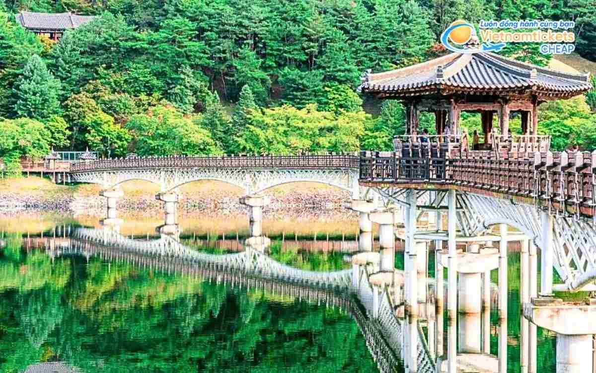 Vé máy bay đi Gyeongsangbuk bao nhiêu tiền?