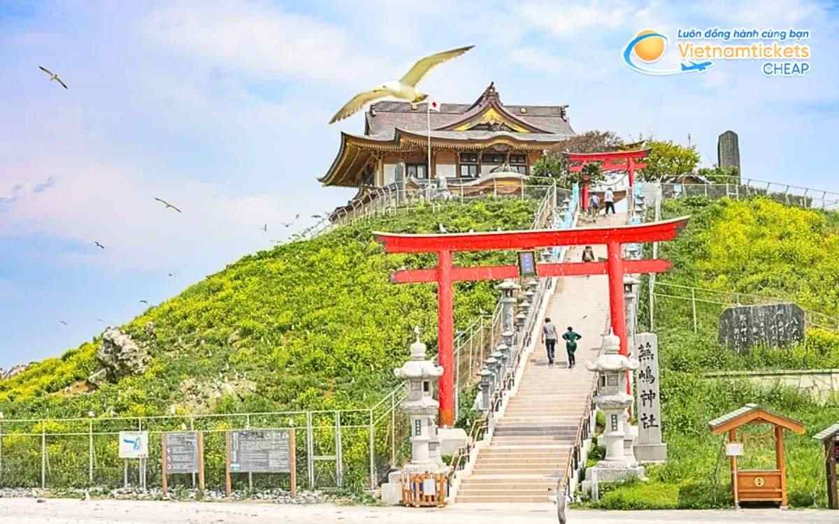 Vé máy bay đi Hachinohe bao nhiêu tiền?