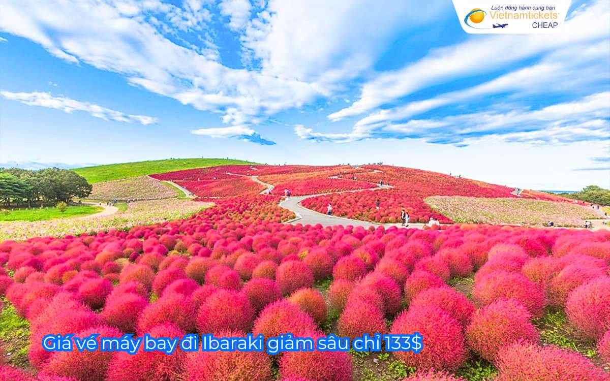 Giá vé máy bay đi Ibaraki giảm sâu chỉ 133$