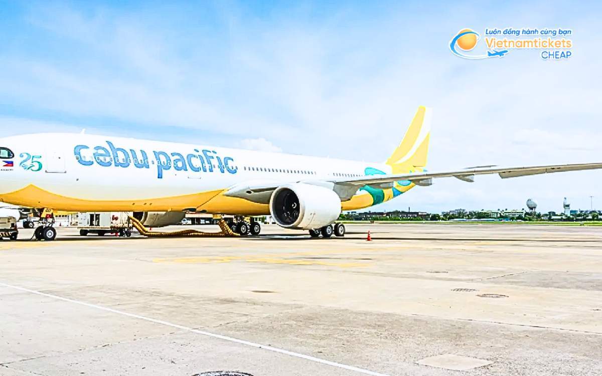 Hãng hàng không bay đi Ilocos Norte