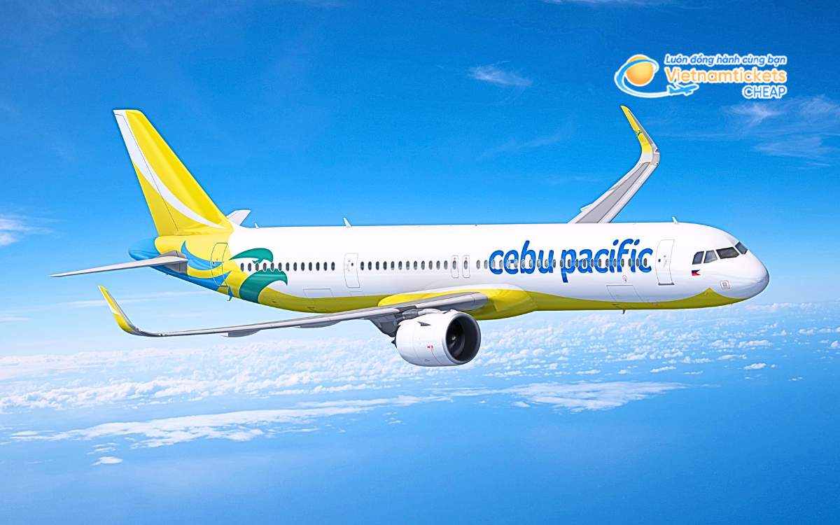 Hãng hàng không bay đi Isabela