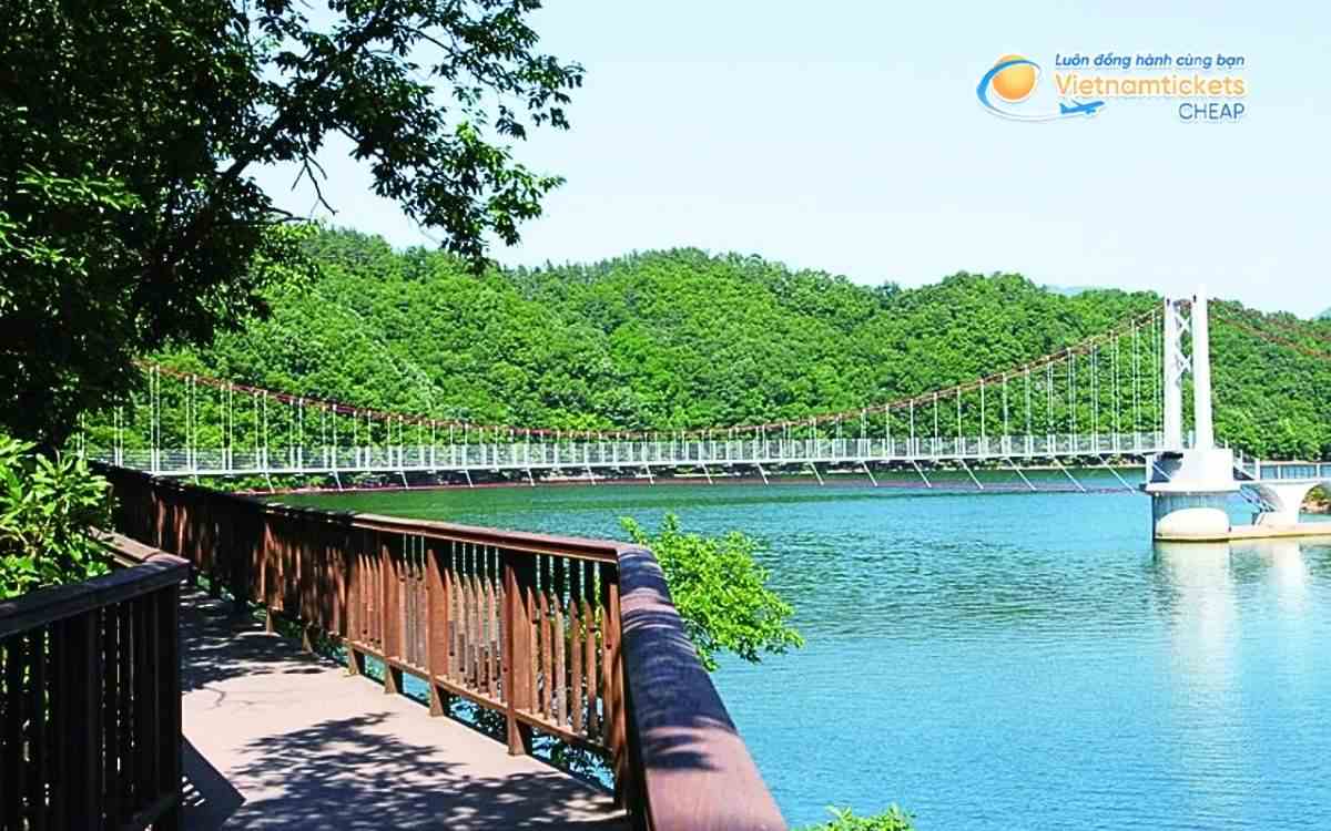 Vé máy bay đi Jincheon bao nhiêu tiền?