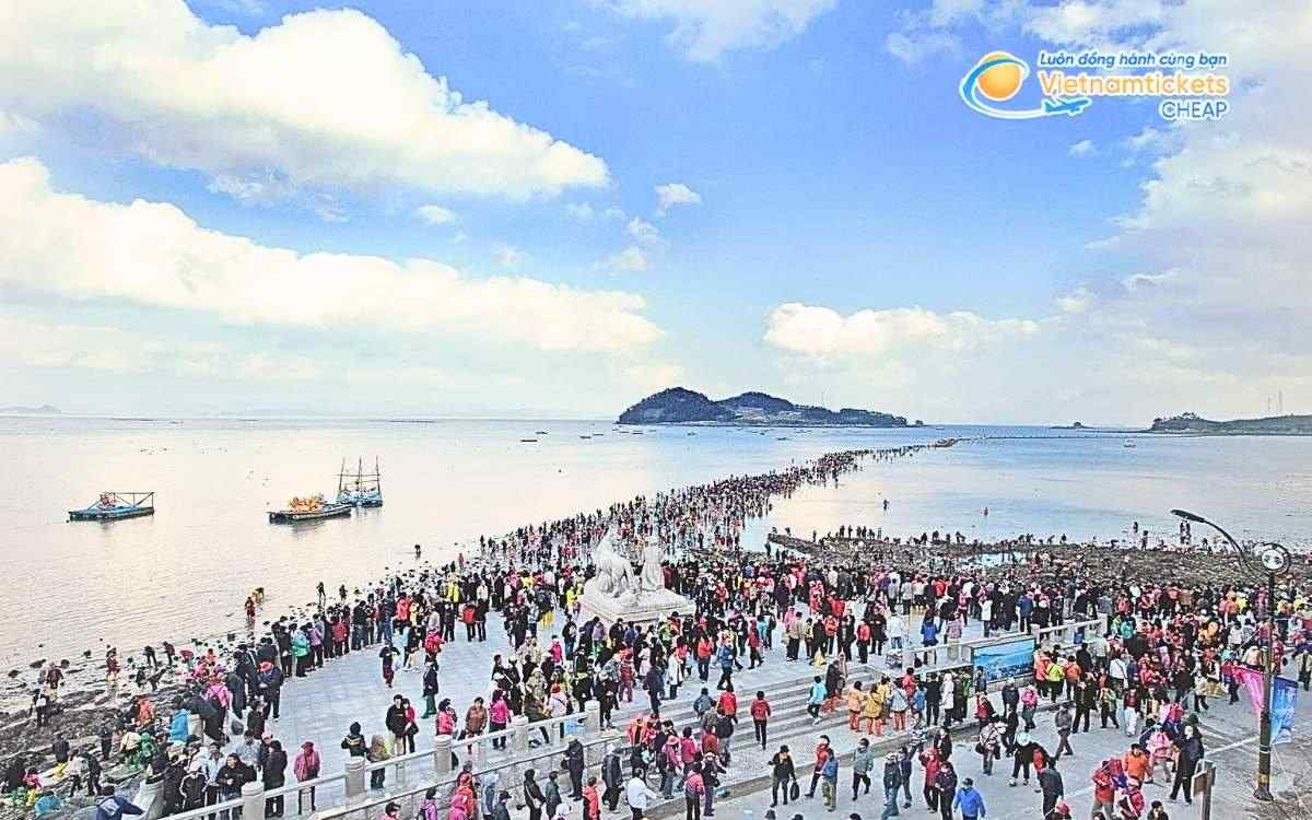 Vé máy bay đi Jindo bao nhiêu tiền?