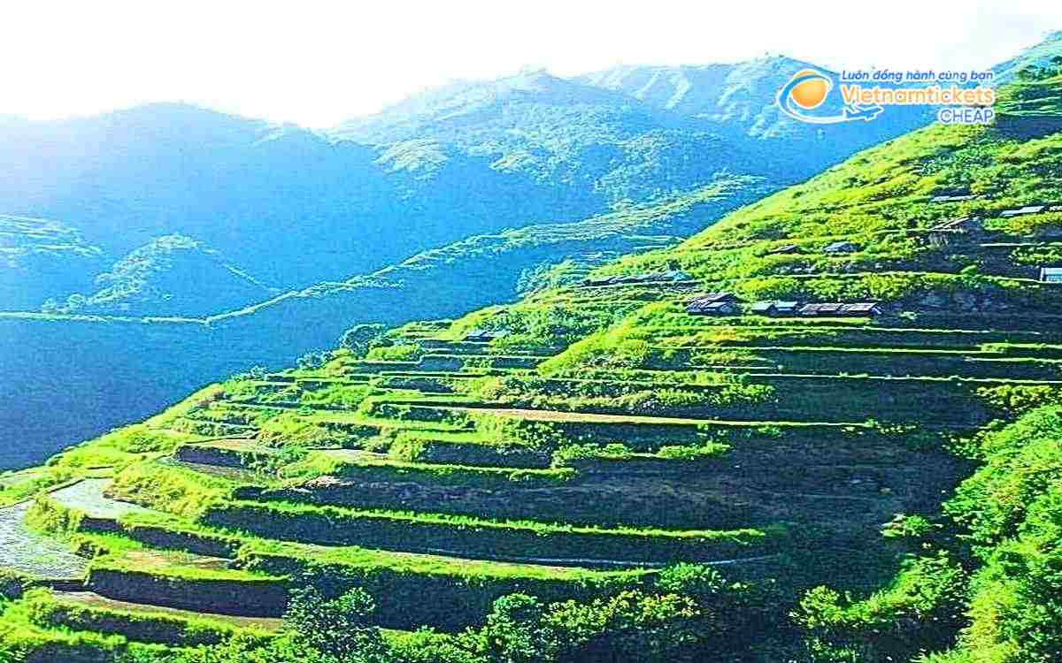 Vé máy bay đi Kalinga bao nhiêu tiền?