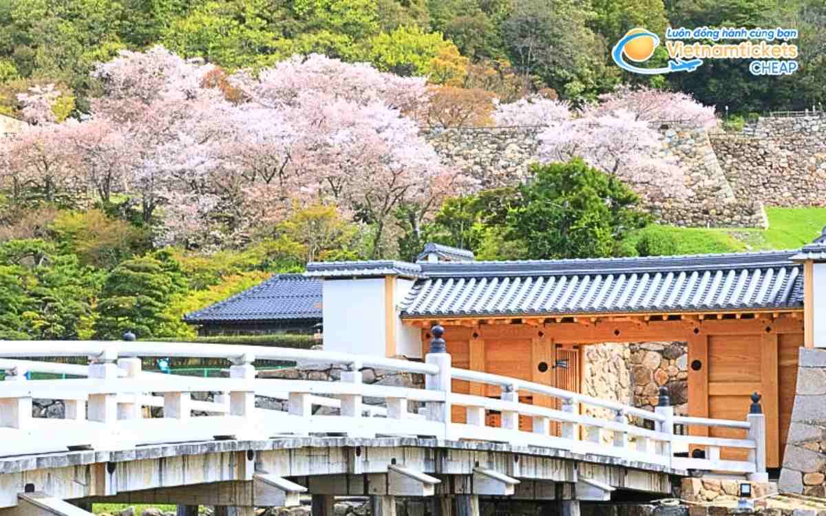 Vé máy bay đi Kurayoshi bao nhiêu tiền?