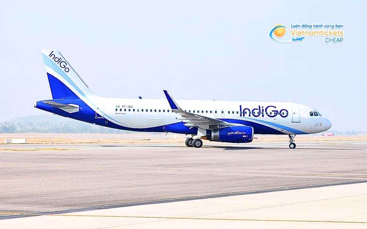 Hãng hàng không bay đi Malda