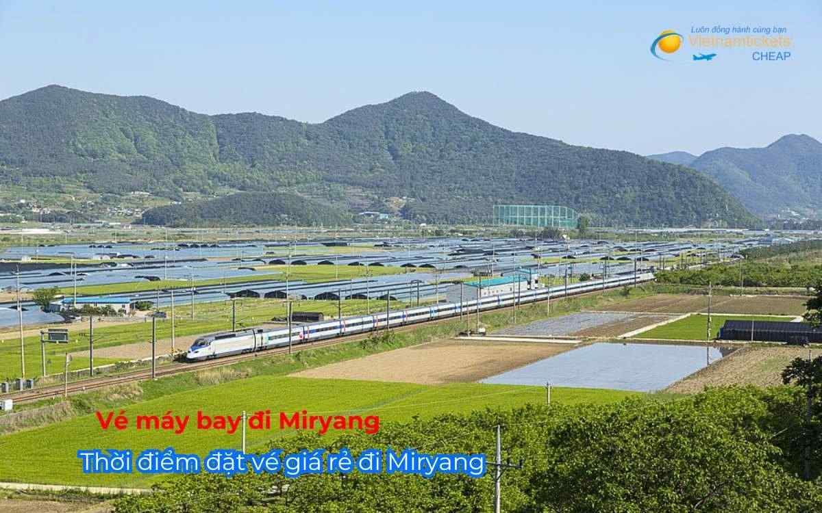 Thời điểm đặt vé giá rẻ đi Miryang