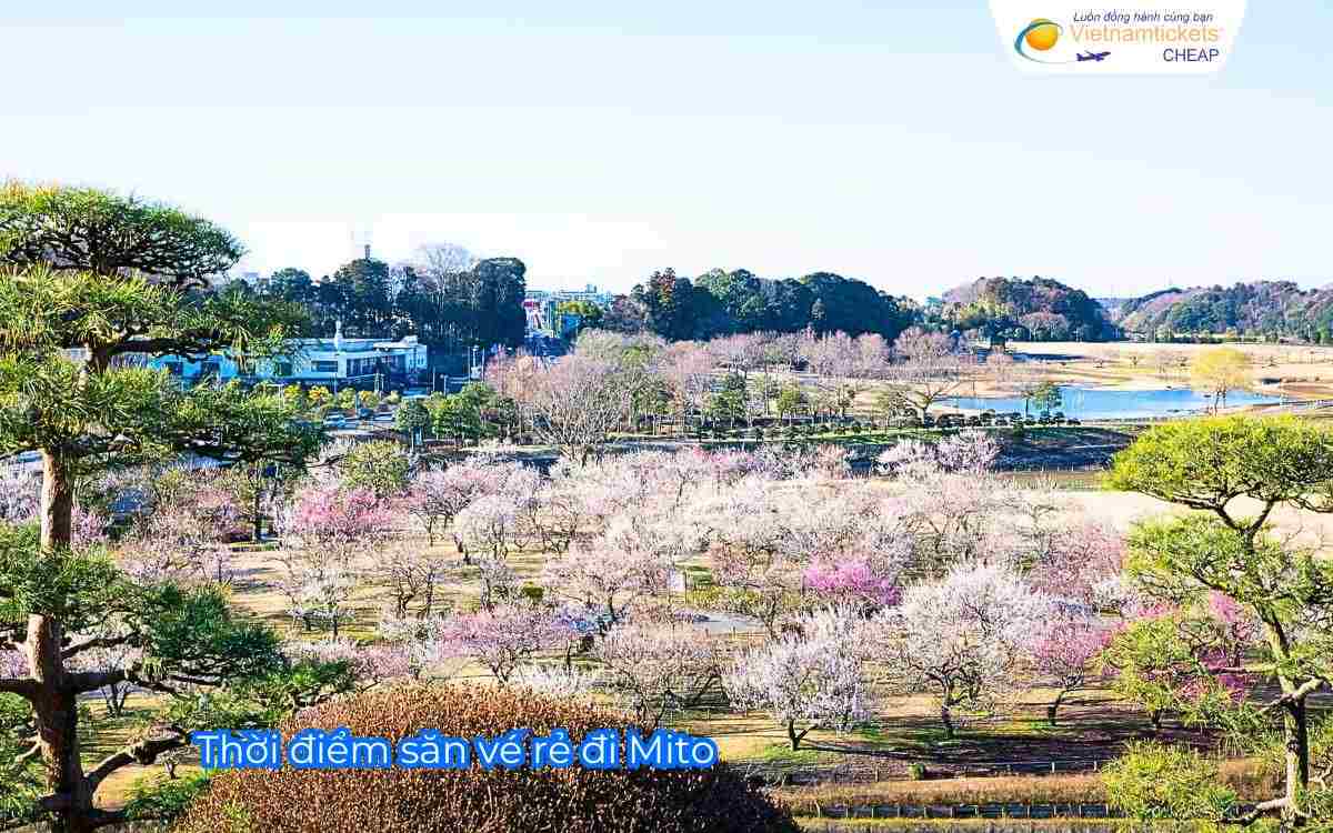 Thời điểm săn vé rẻ đi Mito