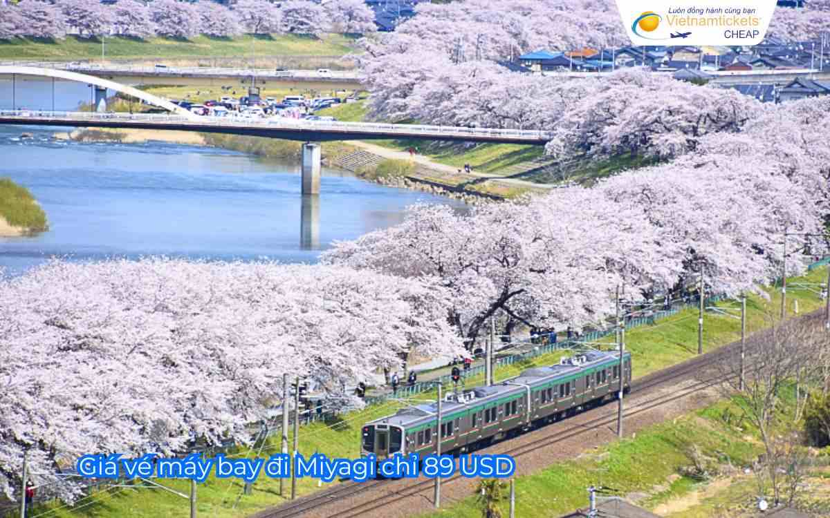 Giá vé máy bay đi Miyagi chỉ 89 USD