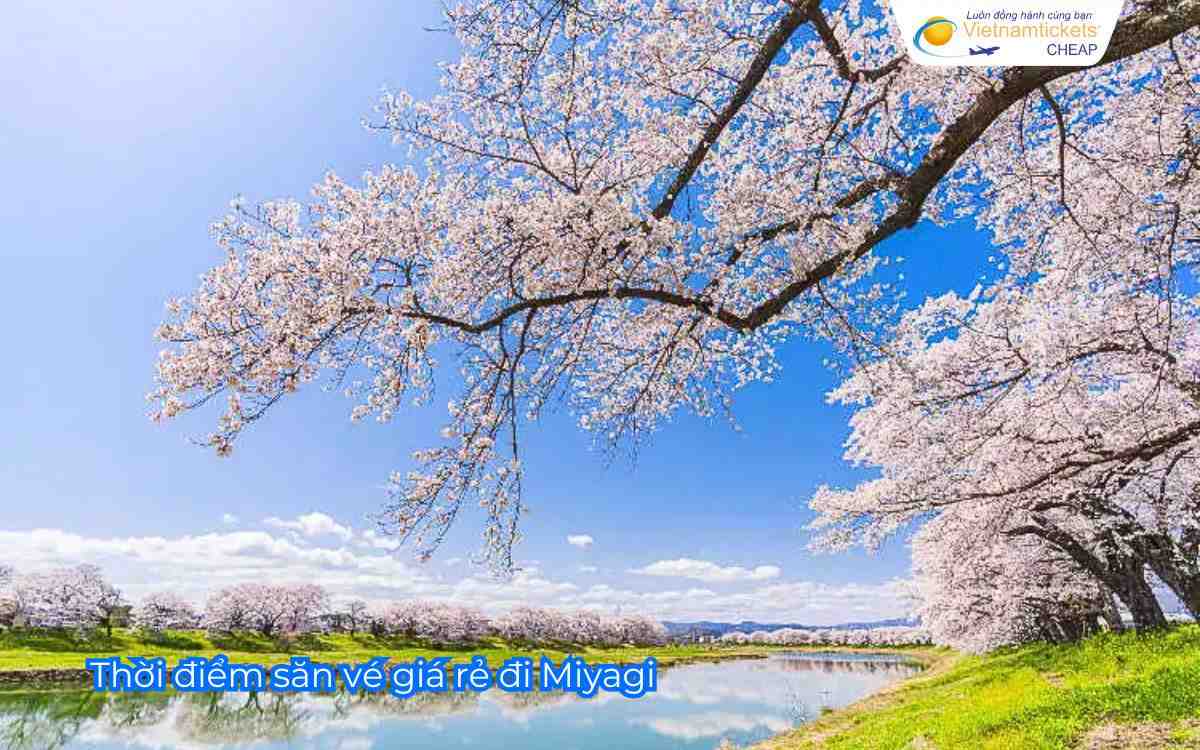Thời điểm săn vé giá rẻ đi Miyagi