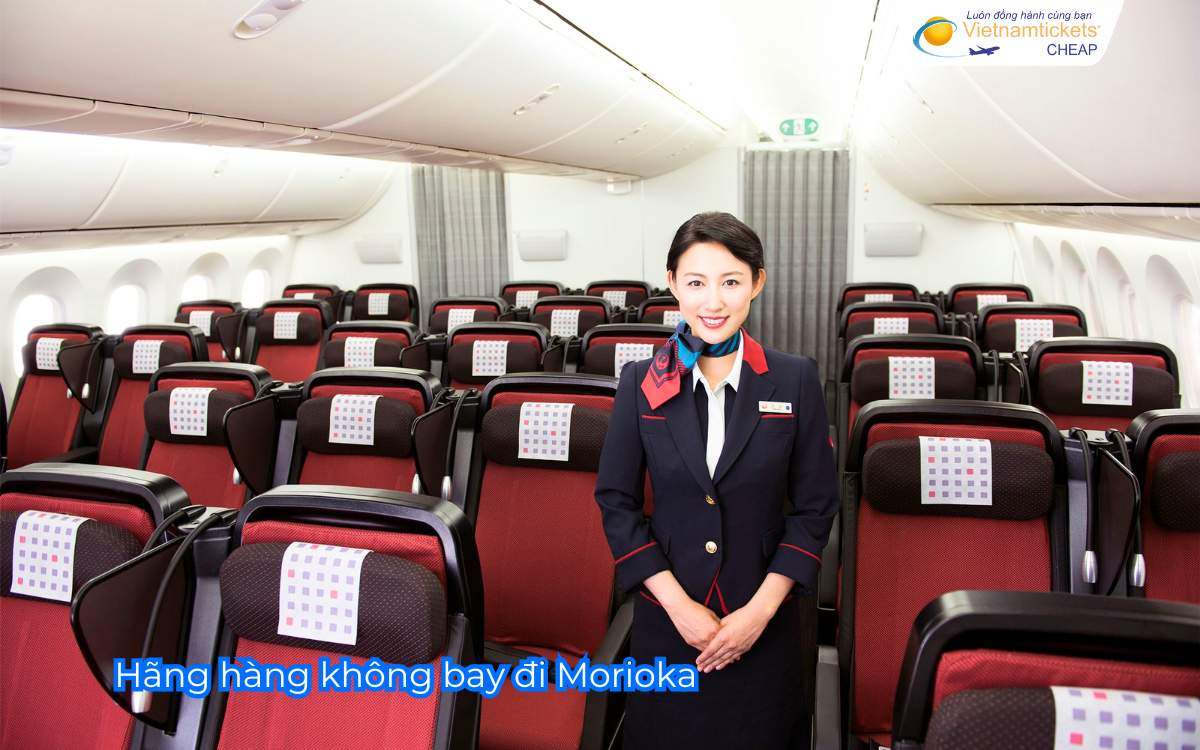 Hãng hàng không bay đi Morioka