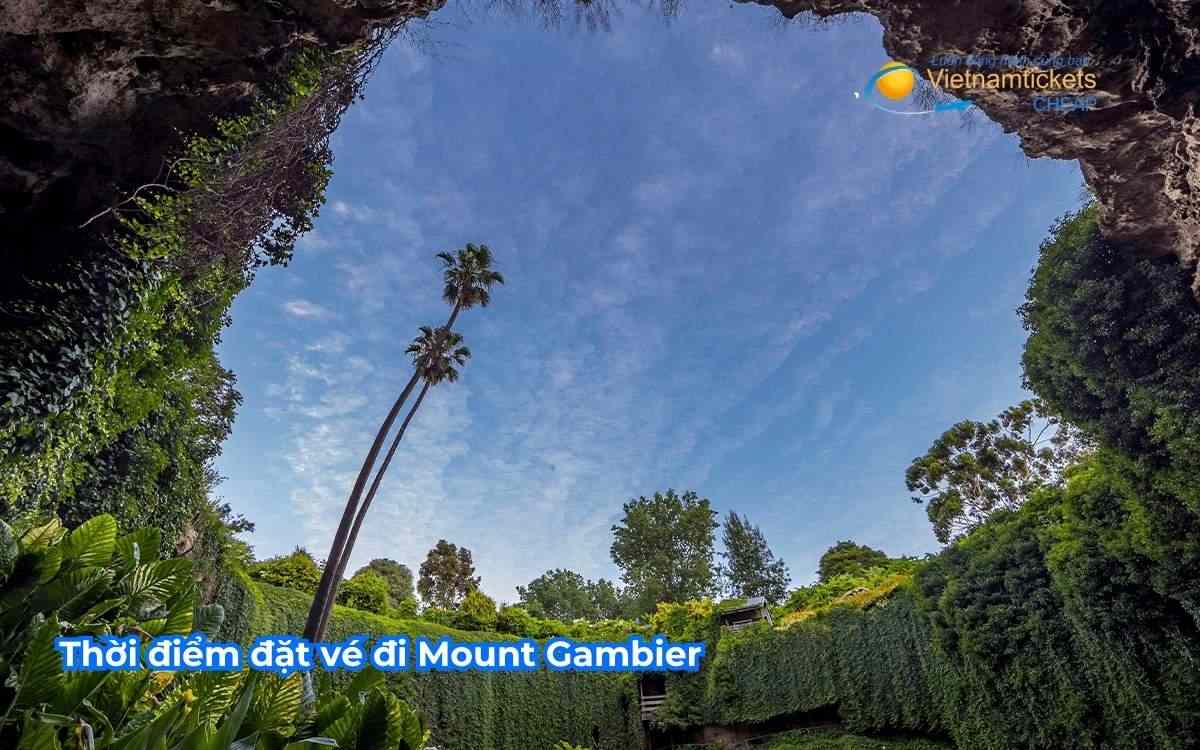 Thời điểm đặt vé đi Mount Gambier